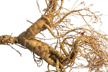 Similar image 21815763