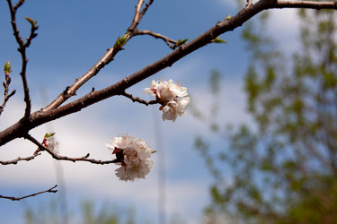 Similar image 21814726