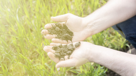 Similar image 21815397