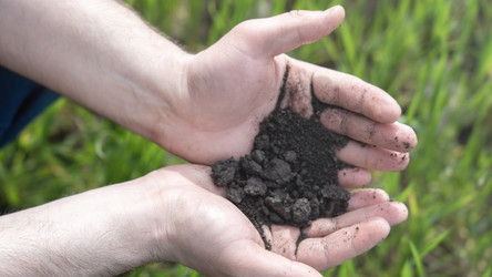 Similar image 21815401