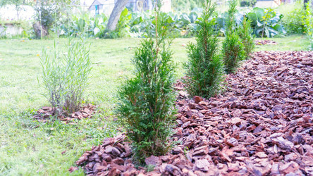 Similar image 21815109