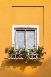 Similar image 21826172