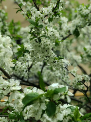 Similar image 21815770