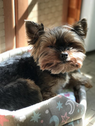 Similar image 21815771