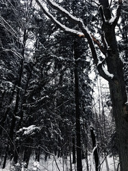 Similar image 21815774