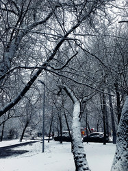 Similar image 21815780