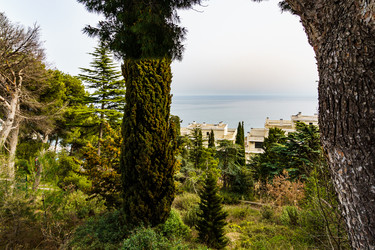 Similar image 21818106