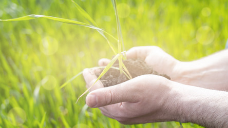 Similar image 21815459