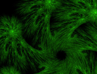 Similar image 21817778