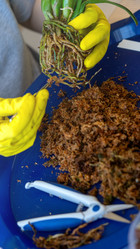 Similar image 21815253