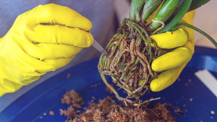 Similar image 21815511