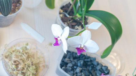 Similar image 21815513