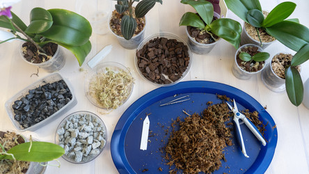 Similar image 21815515