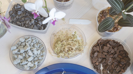 Similar image 21815517