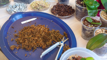 Similar image 21815519