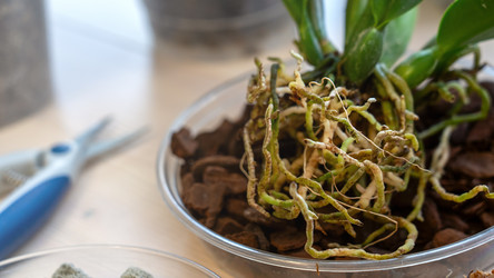 Similar image 21815527