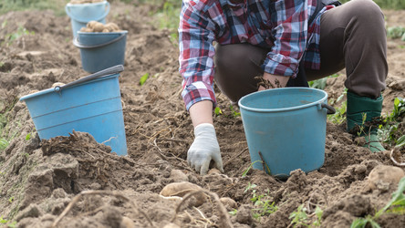 Similar image 21815531