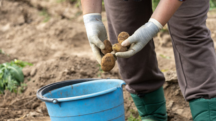 Similar image 21815533