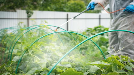 Similar image 21815539