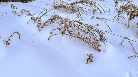 Similar image 21815541