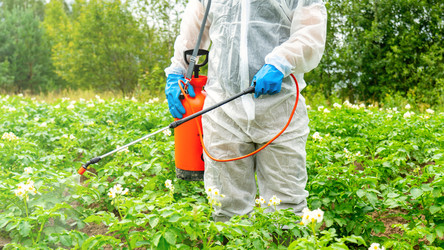 Similar image 21815542