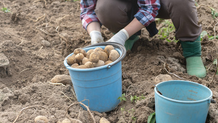 Similar image 21815547