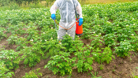 Similar image 21815551