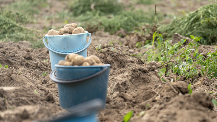 Similar image 21815555