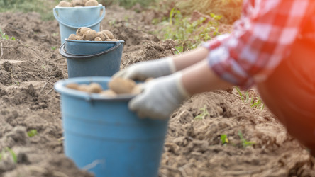 Similar image 21815557