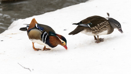 Similar image 21815562