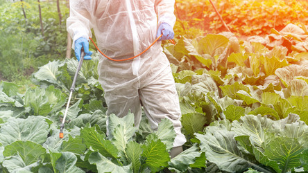 Similar image 21815565