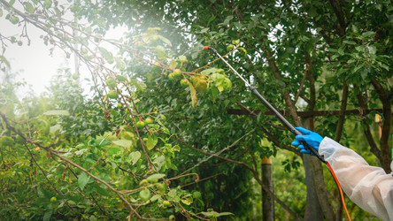 Similar image 21815569