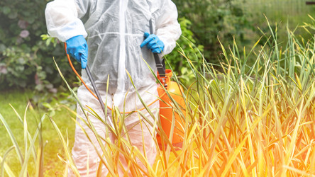 Similar image 21815573