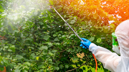 Similar image 21815575