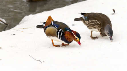 Similar image 21815581