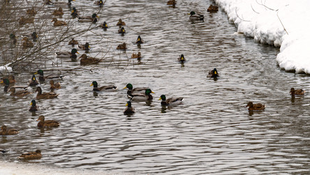 Similar image 21815585