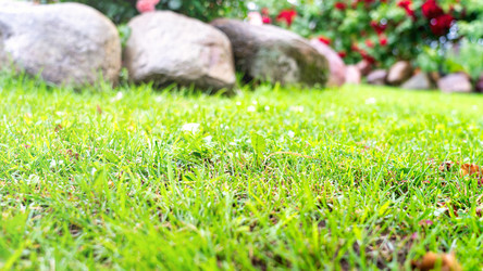 Similar image 21815588