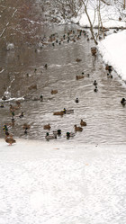 Similar image 21815589