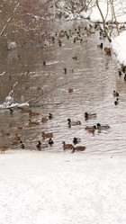 Similar image 21815591