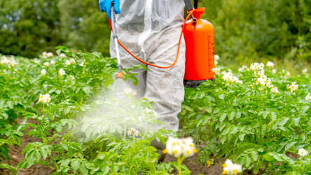 Similar image 21815592