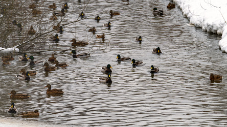 Similar image 21815593