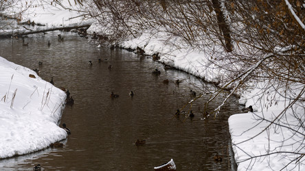 Similar image 21815127