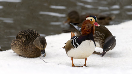 Similar image 21815133