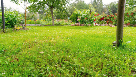 Similar image 21815136