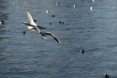 Similar image 21827934