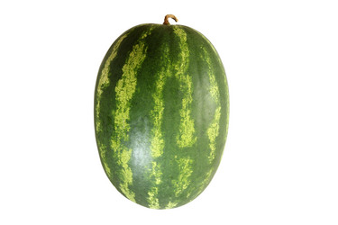 Similar image 21827936