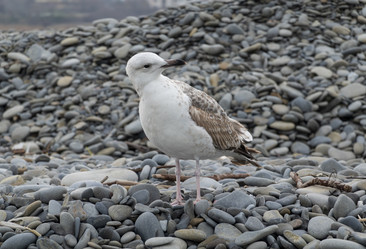 Similar image 21827937