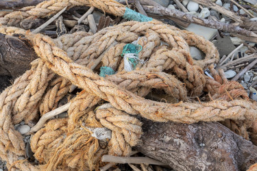 Similar image 21827938