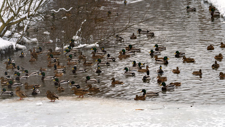 Similar image 21815267