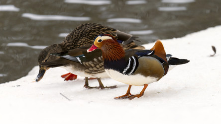 Similar image 21815276